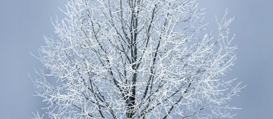 Cognitive Behavior Therapy for Seasonal Affective Disorder with image of winter blues